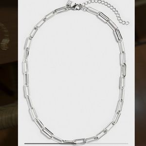Banana Republic Silver Paperclip Chain Necklace